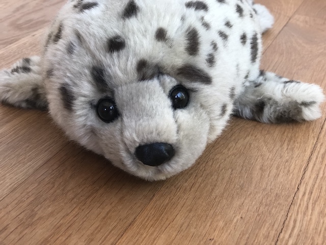 Robbe Kuscheltier im Sprechzimmer